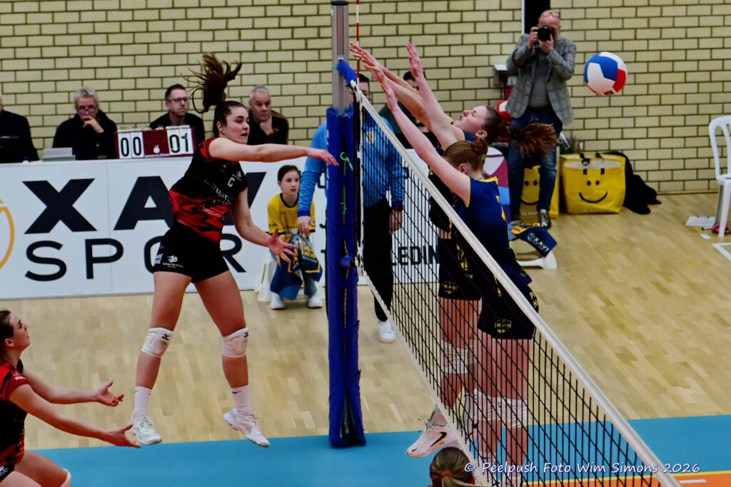 PPD1-Activia D1 01-03-2026_011