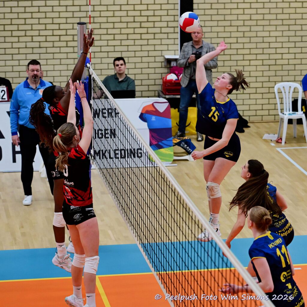 PPD1-Activia D1 01-03-2026_015