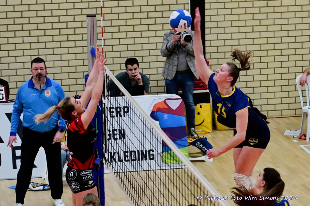 PPD1-Activia D1 01-03-2026_023