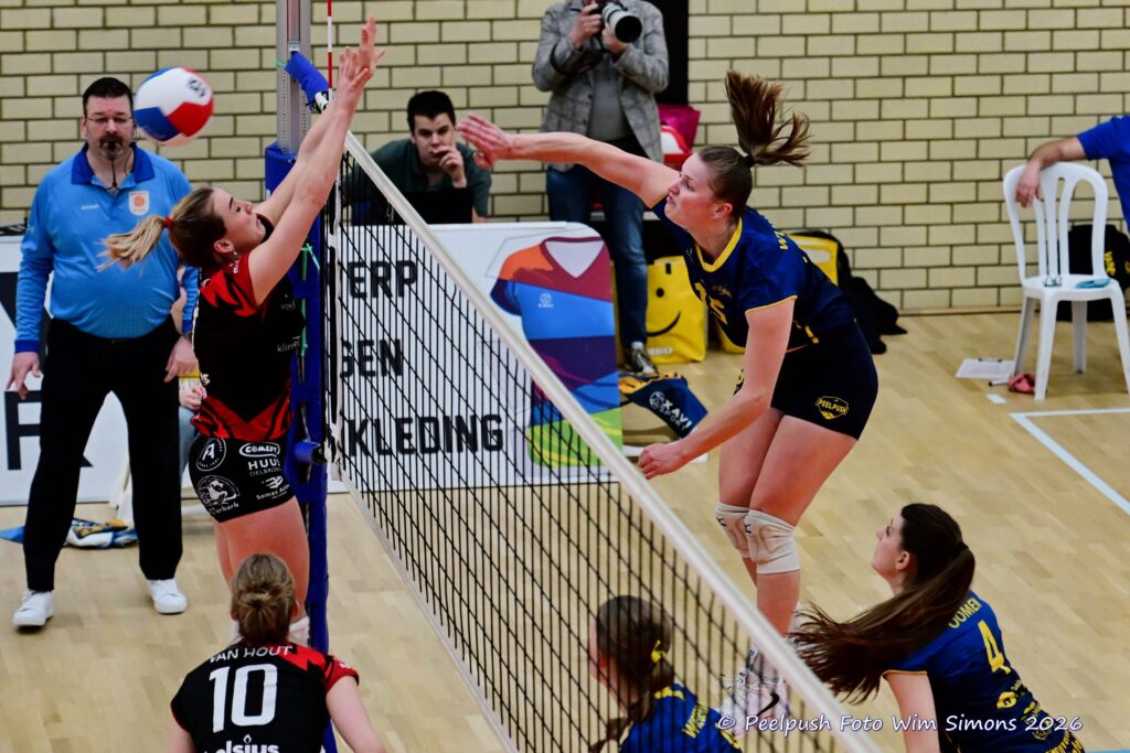 PPD1-Activia D1 01-03-2026_024