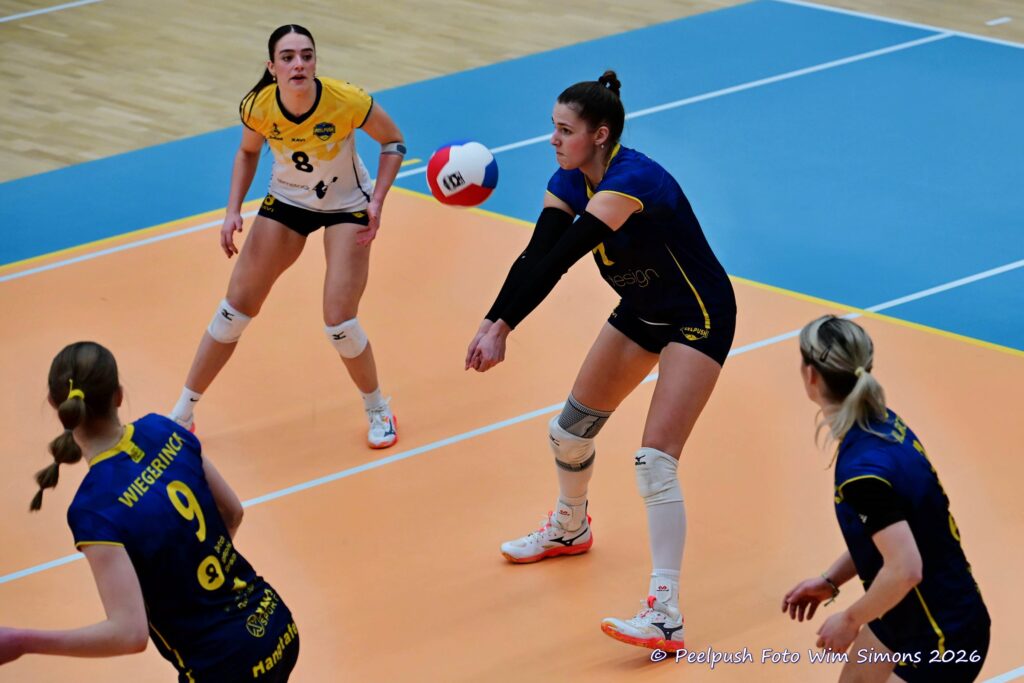 PPD1-Activia D1 01-03-2026_025