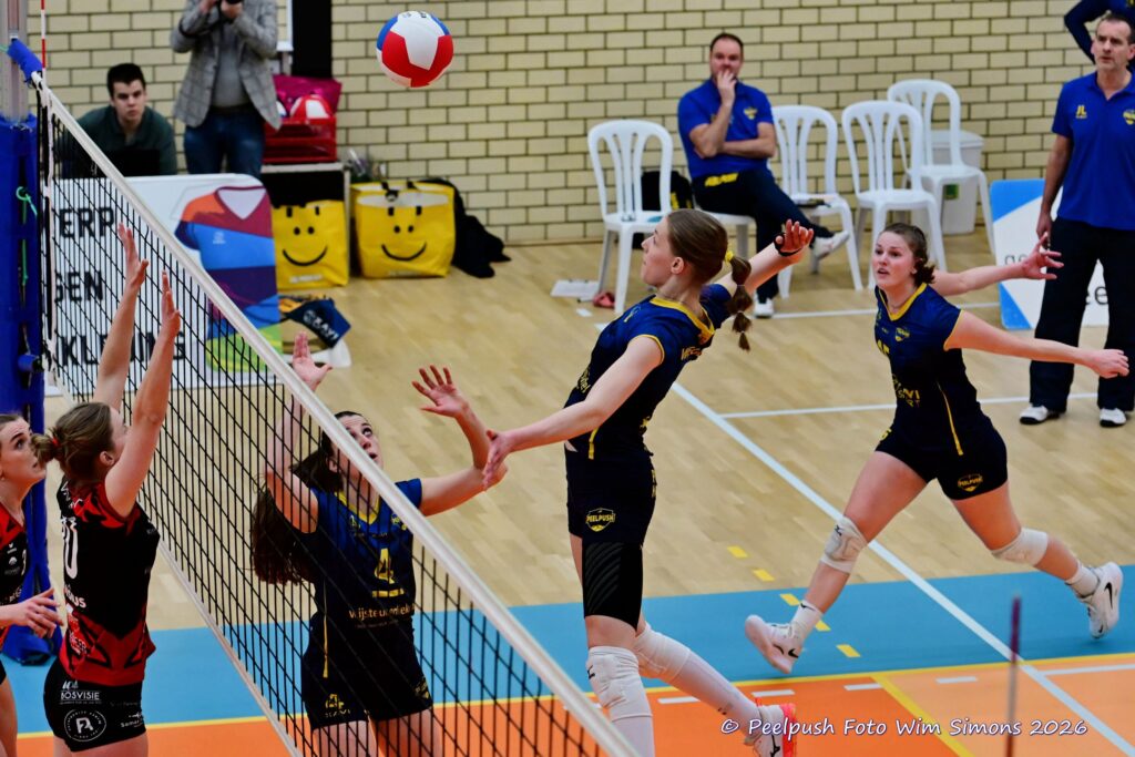 PPD1-Activia D1 01-03-2026_026