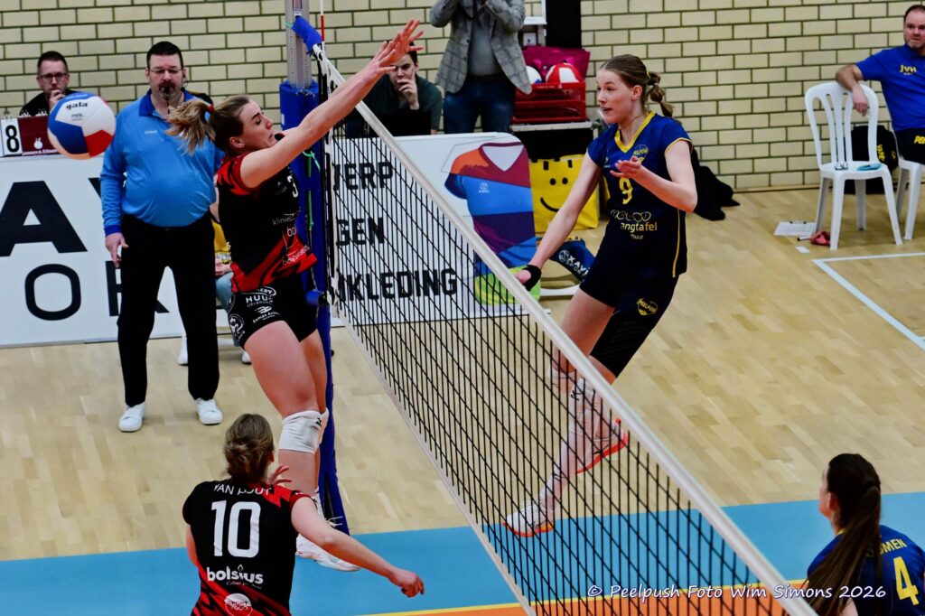 PPD1-Activia D1 01-03-2026_029