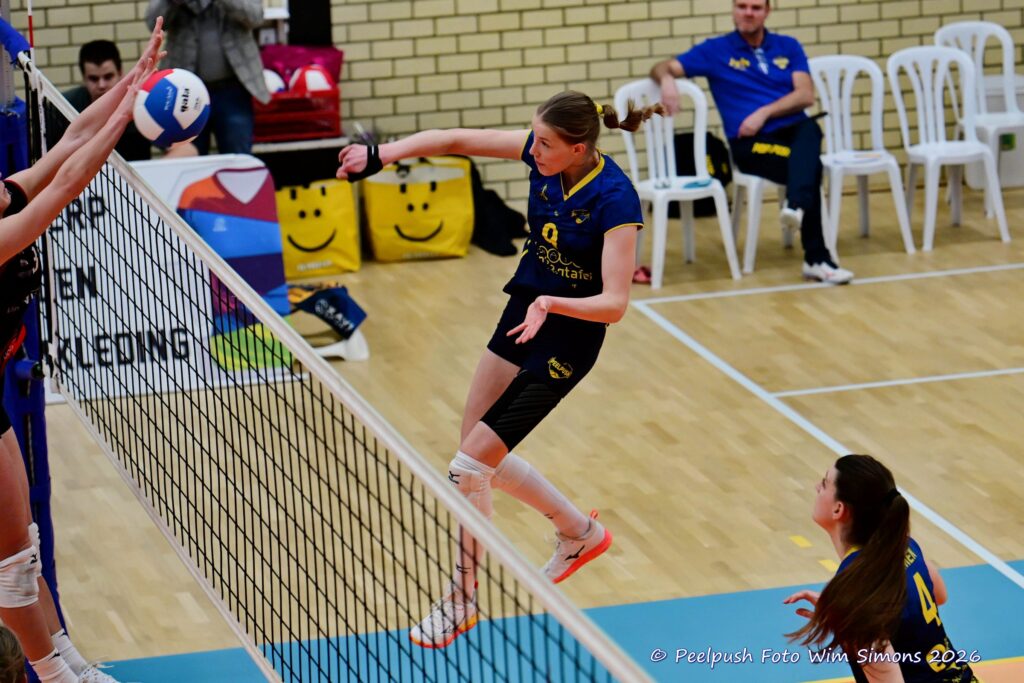 PPD1-Activia D1 01-03-2026_031