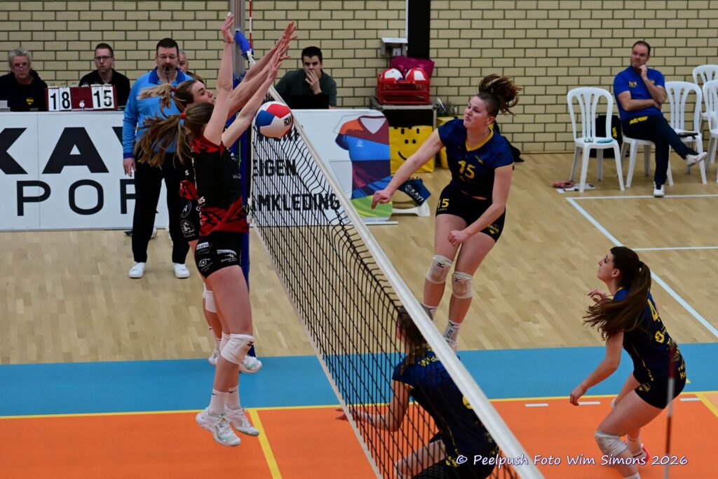 PPD1-Activia D1 01-03-2026_037