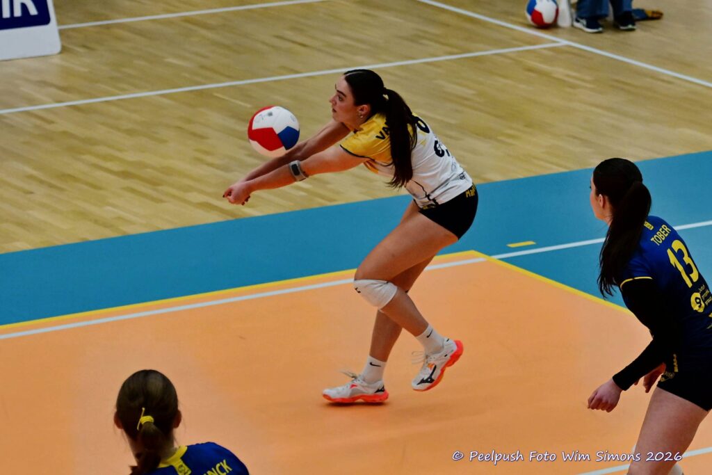 PPD1-Activia D1 01-03-2026_040