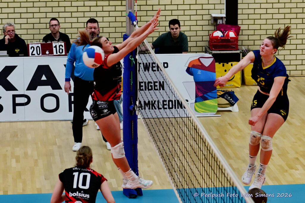 PPD1-Activia D1 01-03-2026_041