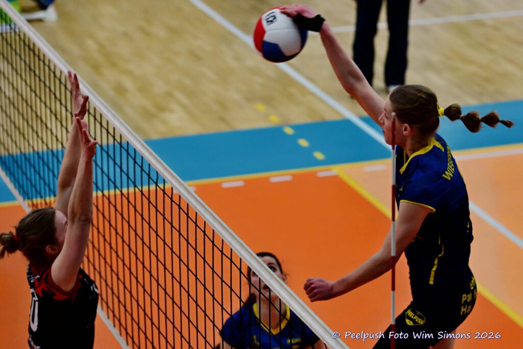 PPD1-Activia D1 01-03-2026_046