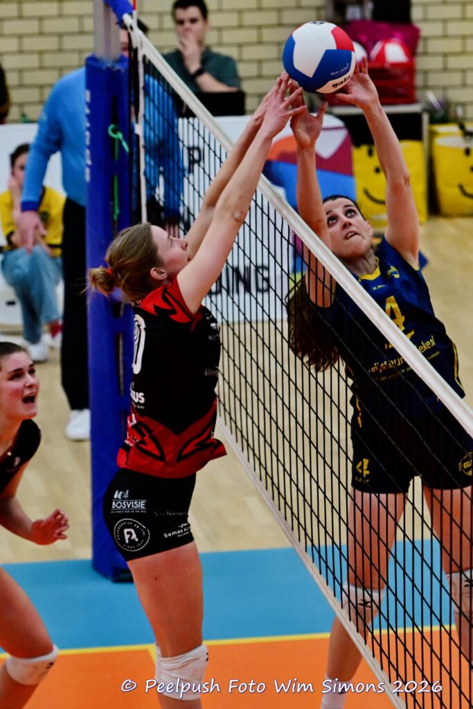 PPD1-Activia D1 01-03-2026_048