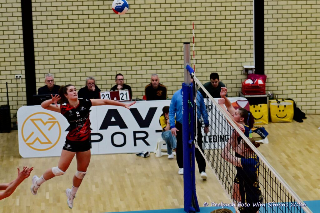 PPD1-Activia D1 01-03-2026_051