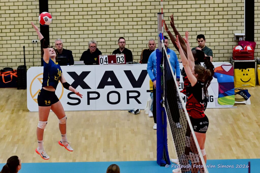 PPD1-Activia D1 01-03-2026_053