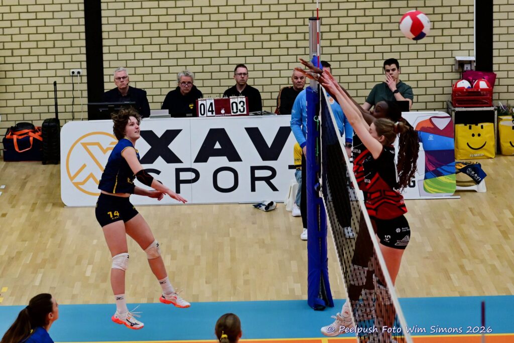 PPD1-Activia D1 01-03-2026_054