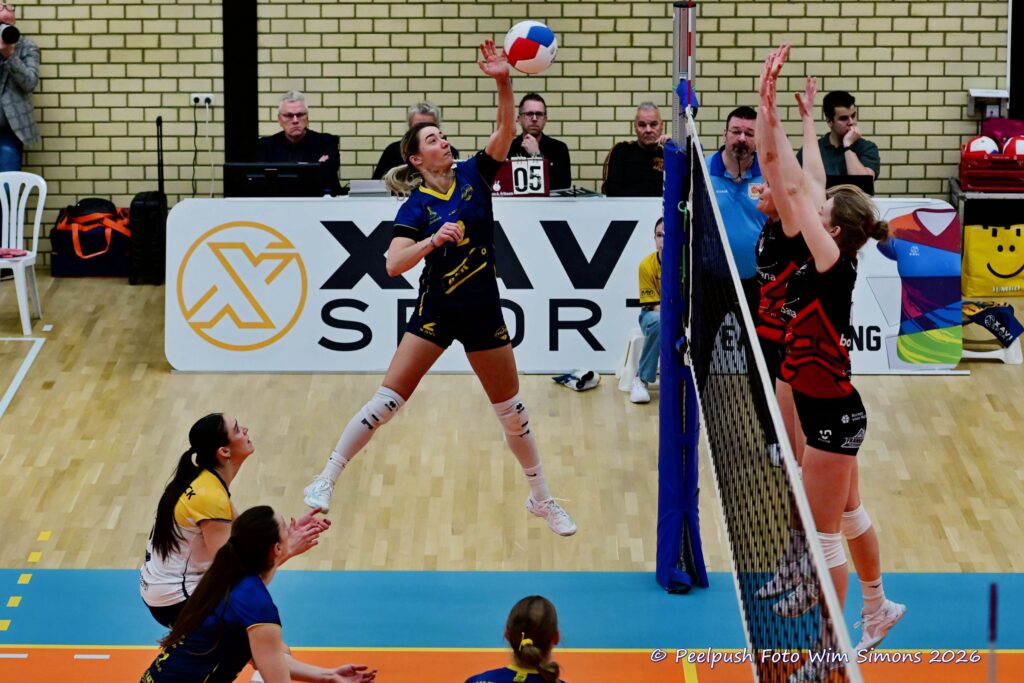 PPD1-Activia D1 01-03-2026_055