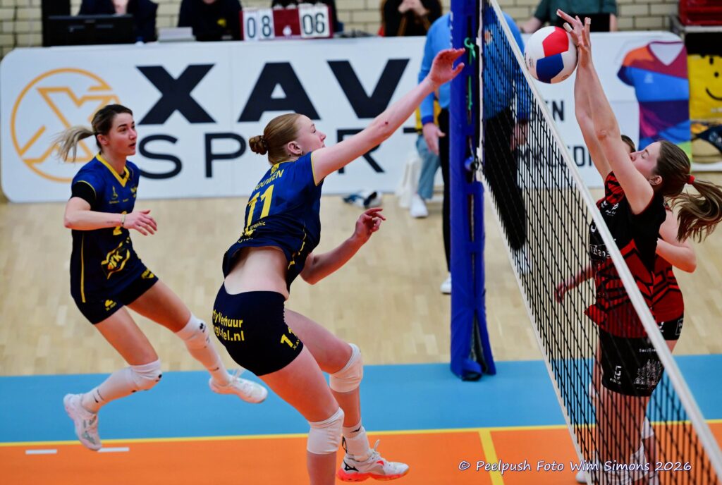 PPD1-Activia D1 01-03-2026_057