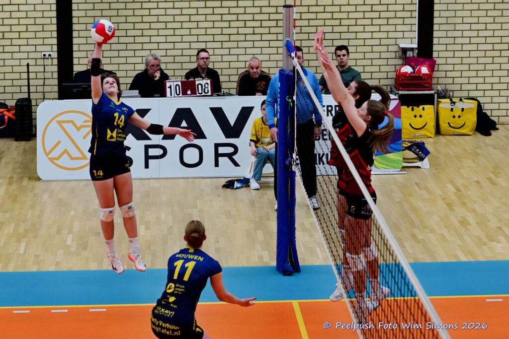 PPD1-Activia D1 01-03-2026_060