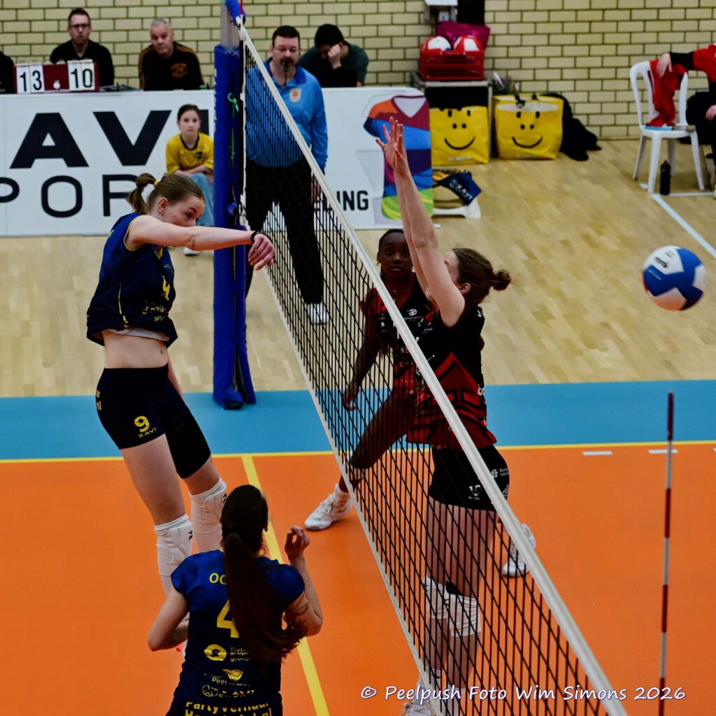 PPD1-Activia D1 01-03-2026_066