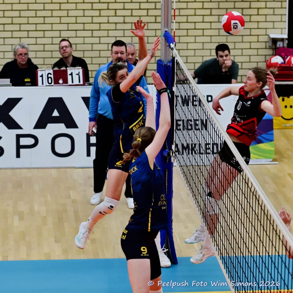 PPD1-Activia D1 01-03-2026_069