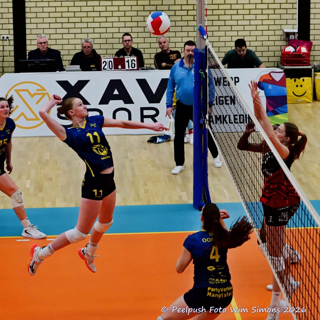 PPD1-Activia D1 01-03-2026_071