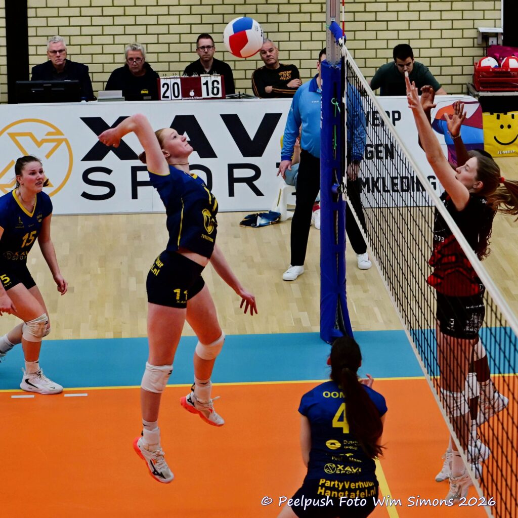 PPD1-Activia D1 01-03-2026_072