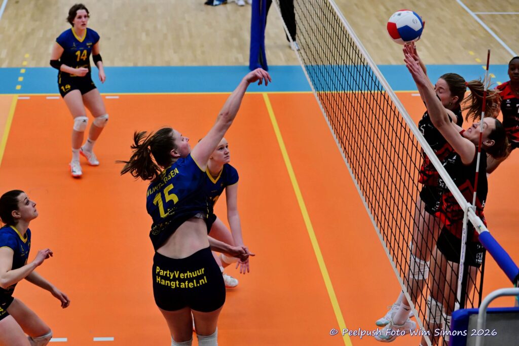 PPD1-Activia D1 01-03-2026_074