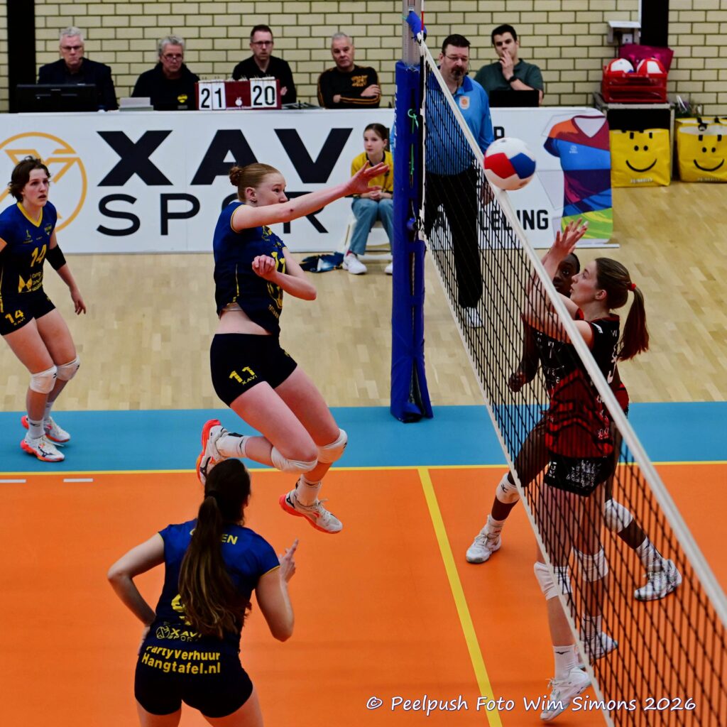 PPD1-Activia D1 01-03-2026_078