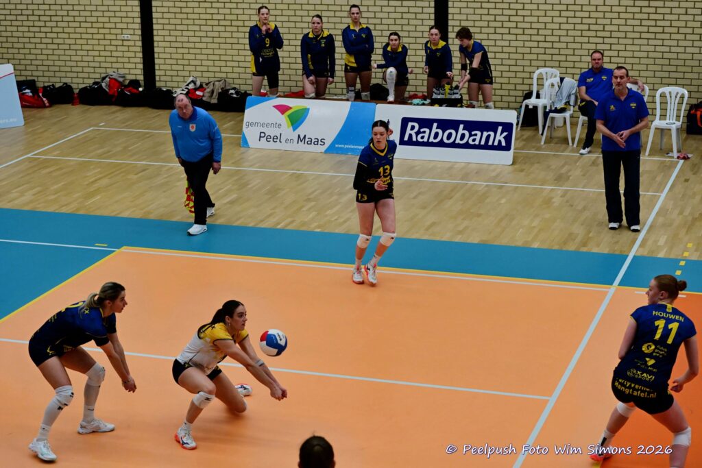 PPD1-Activia D1 01-03-2026_080