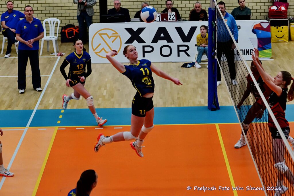 PPD1-Activia D1 01-03-2026_081