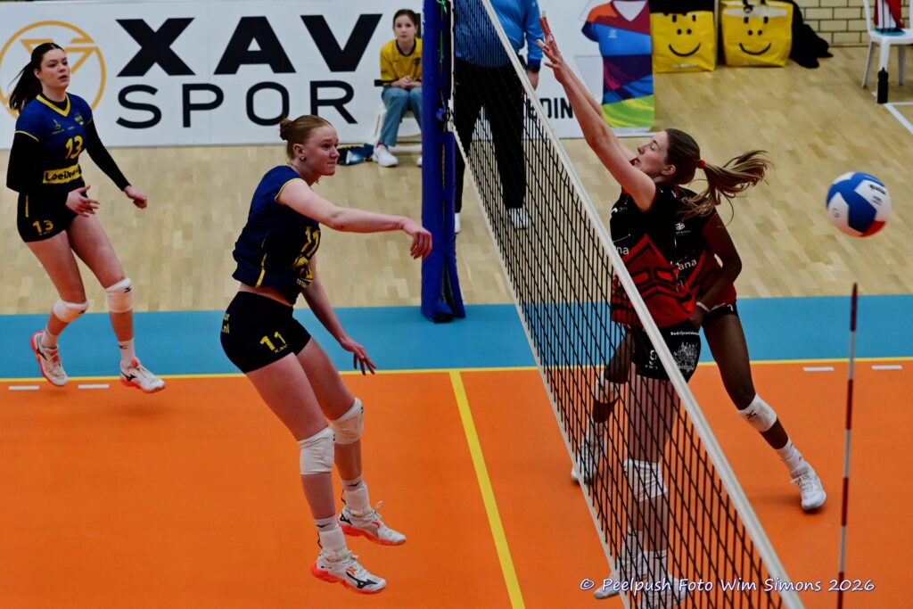 PPD1-Activia D1 01-03-2026_082