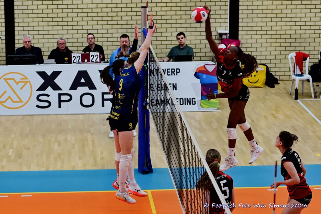 PPD1-Activia D1 01-03-2026_083