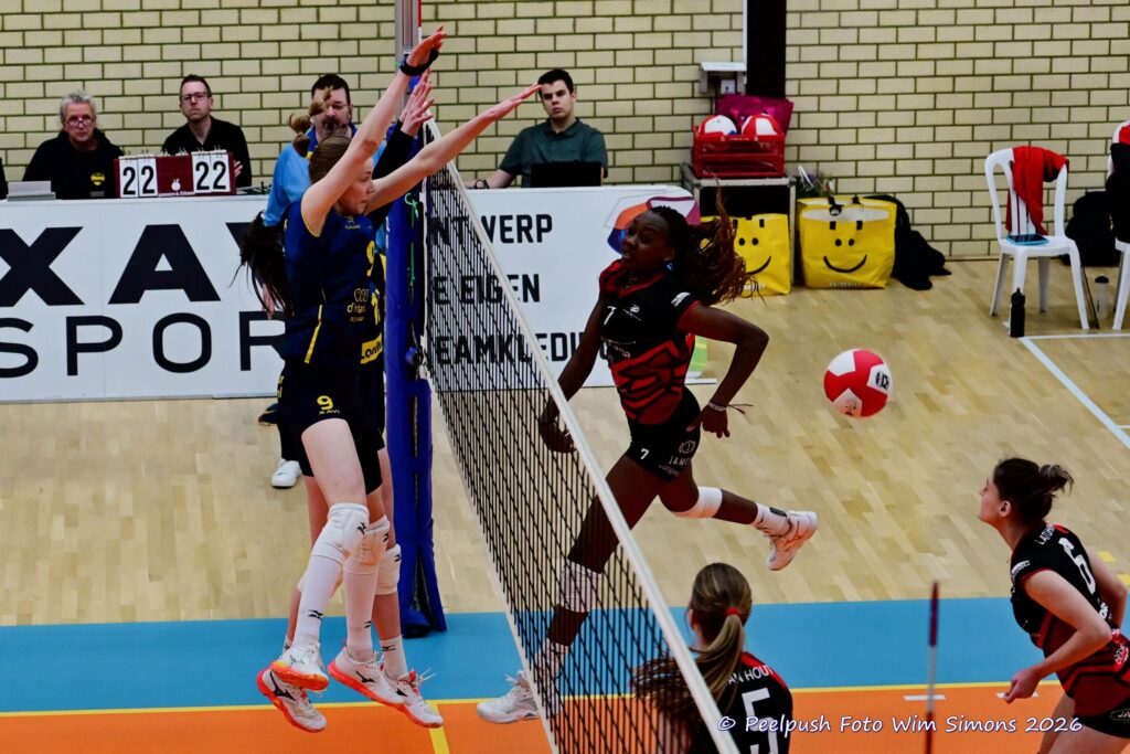 PPD1-Activia D1 01-03-2026_084