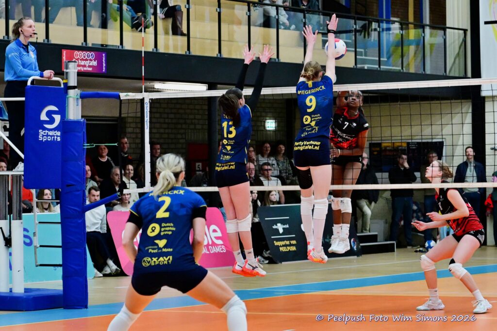 PPD1-Activia D1 01-03-2026_094