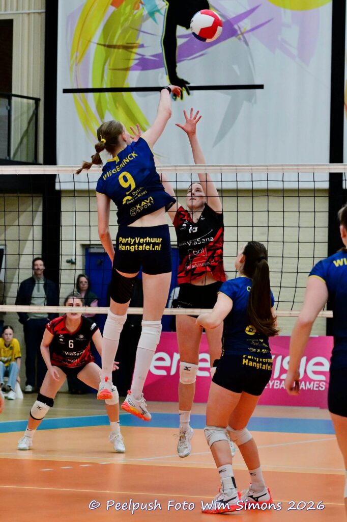 PPD1-Activia D1 01-03-2026_095