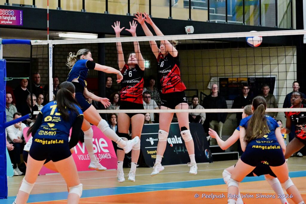 PPD1-Activia D1 01-03-2026_096