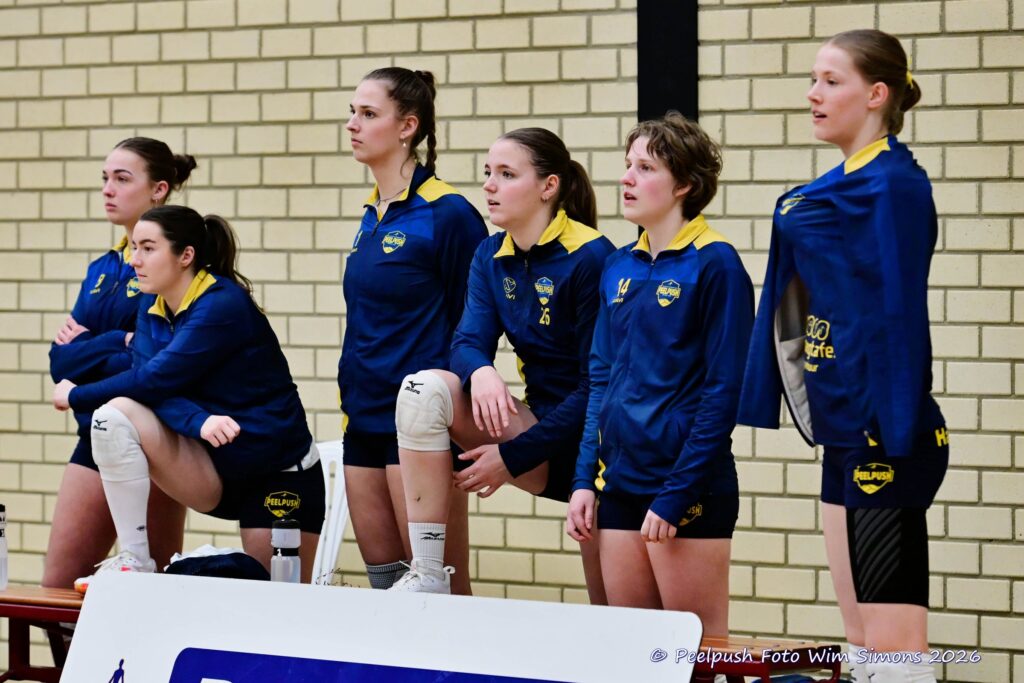 PPD1-Activia D1 01-03-2026_100