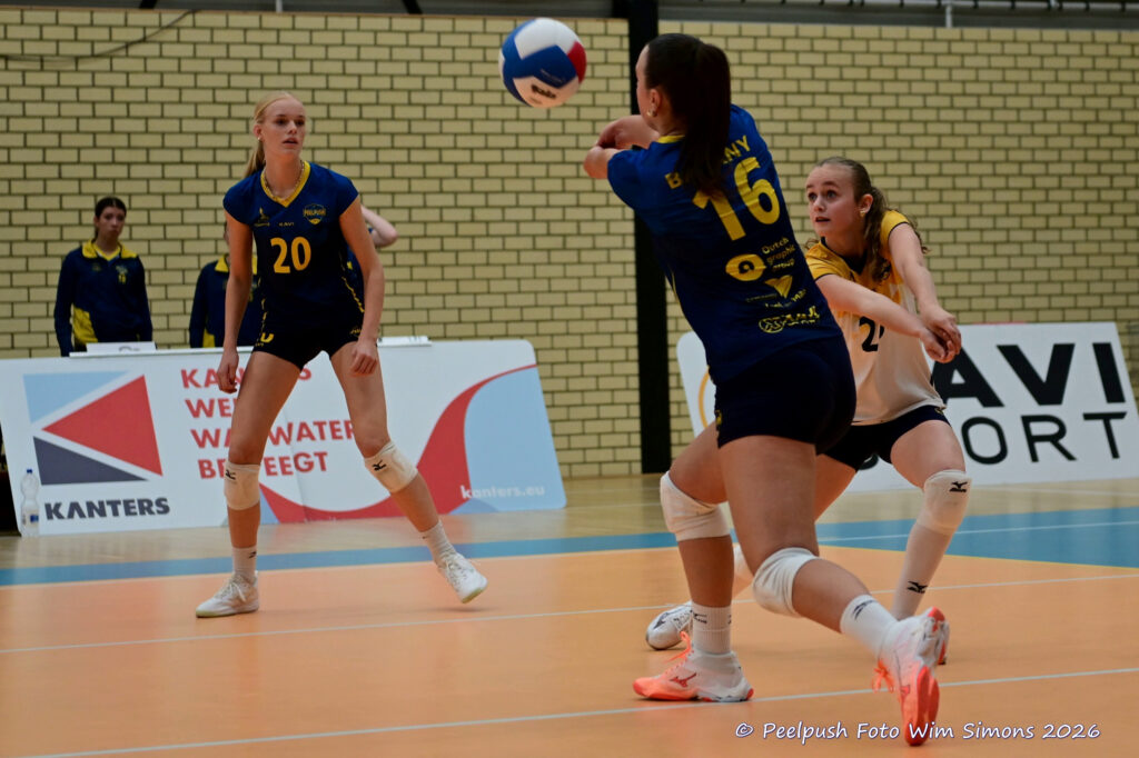 PPD2-Dinto D1_26-09-26_10