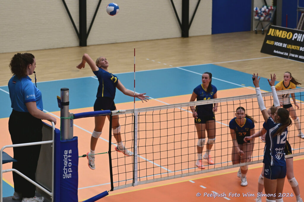 PPD2-Dinto D1_26-09-26_22