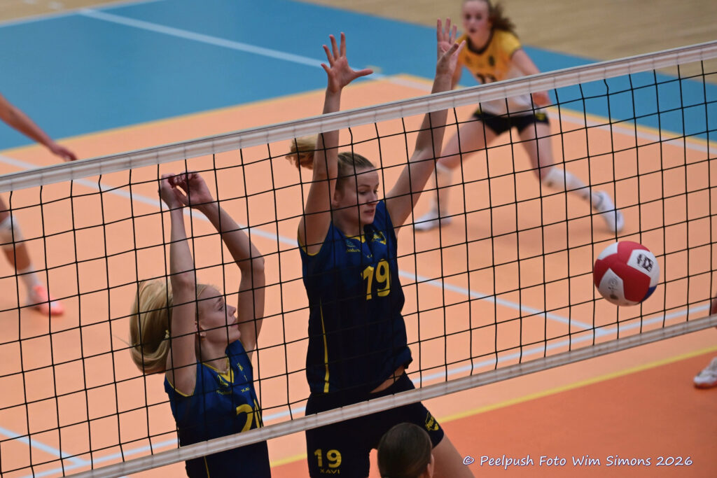 PPD2-Dinto D1_26-09-26_28