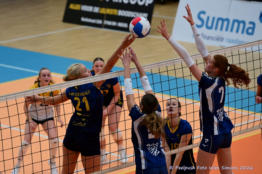 PPD2-Dinto D1_26-09-26_29