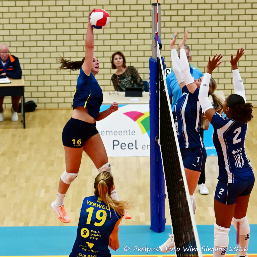 PPD2-Dinto D1_26-09-26_33