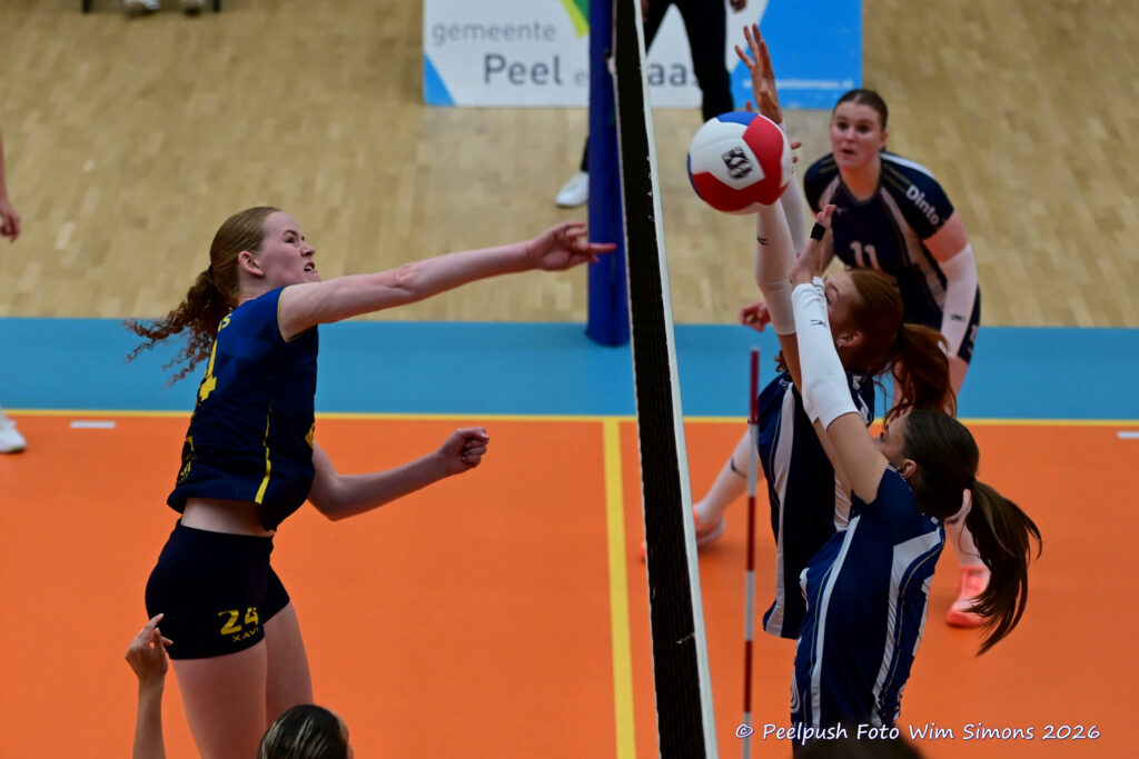 PPD2-Dinto D1_26-09-26_53