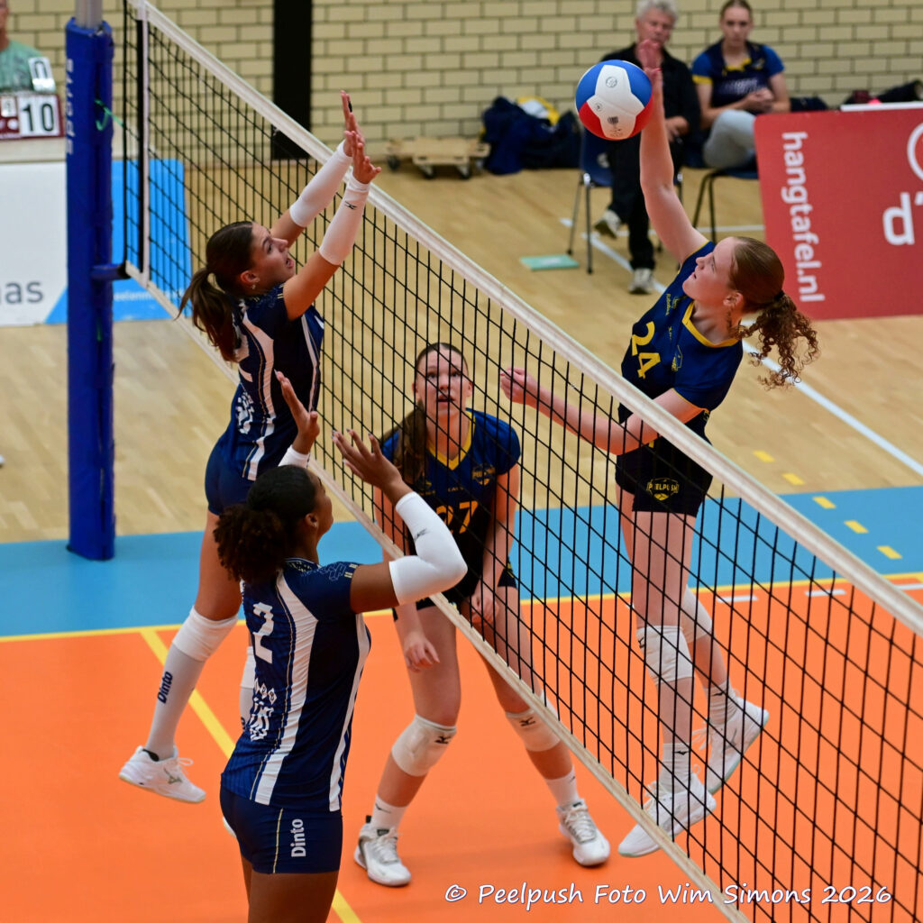 PPD2-Dinto D1_26-09-26_60